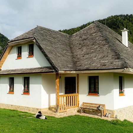 Pensiunea Hodaita Măgura 외부 사진