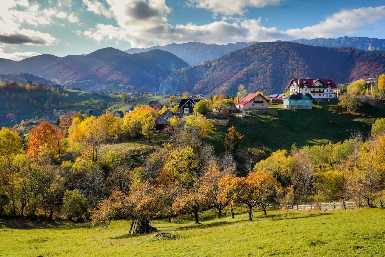 Pensiunea Hodaita Măgura 외부 사진