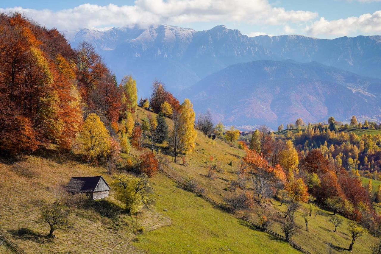 Pensiunea Hodaita Măgura 외부 사진